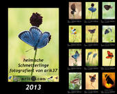Kalender-2013