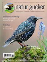 Naturgucker Ausgabe 65